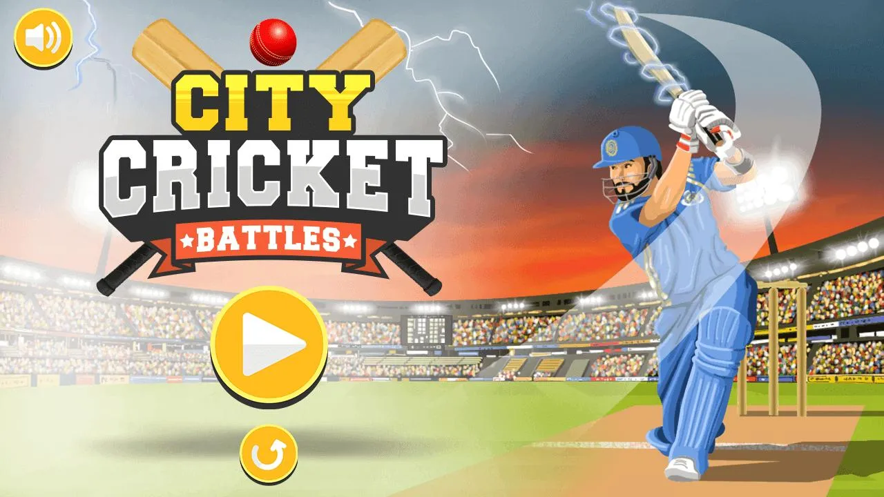 city cricket 1 1